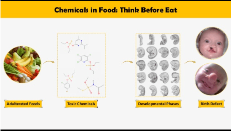 Three Minute Thesis - Bangladesh Region | 2019