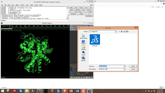 Protein Preparation and Optimization