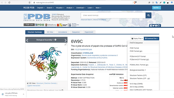 Multiple Sequence Alignment | Clustal Omega | Beginner